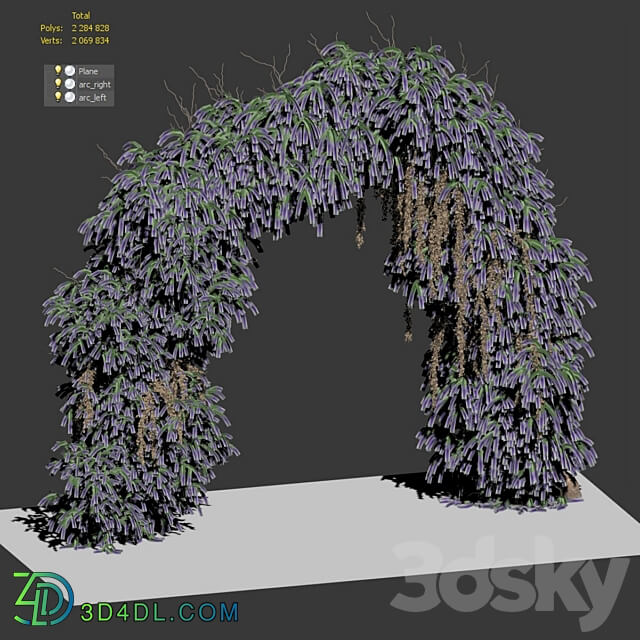 Arch of lavender flowers Fitowall 3D Models