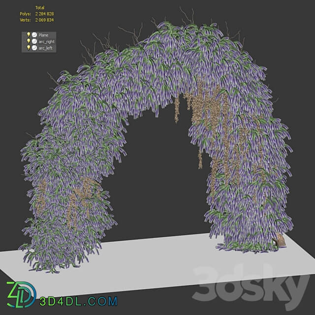 Arch of lavender flowers Fitowall 3D Models