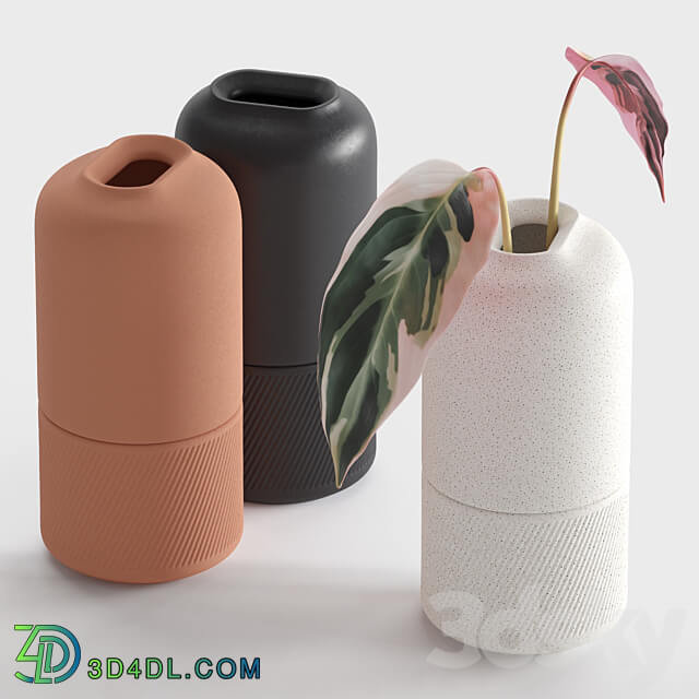 Ceramic Vases Zenn Vases by Axioma 3D Models