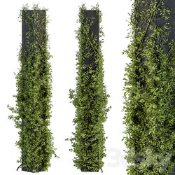 Outdoor Plant Set 394 ivy on Column 3D Models 