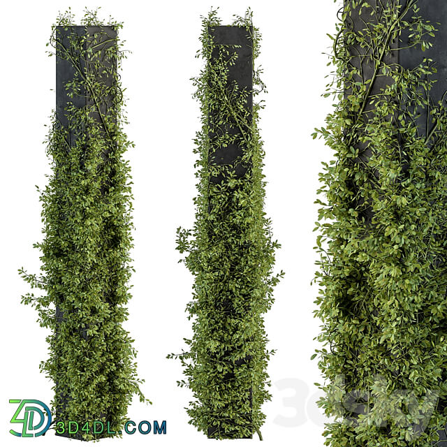 Outdoor Plant Set 394 ivy on Column 3D Models