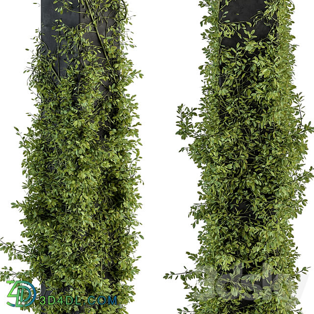 Outdoor Plant Set 394 ivy on Column 3D Models