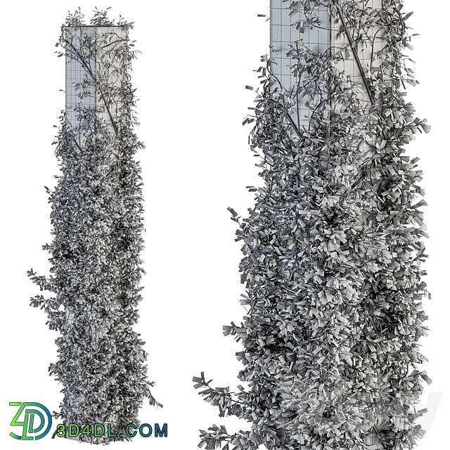 Outdoor Plant Set 394 ivy on Column 3D Models