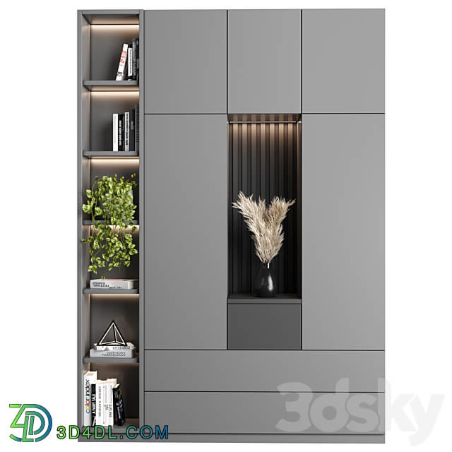 Cabinet with shelves 27 Wardrobe Display cabinets 3D Models