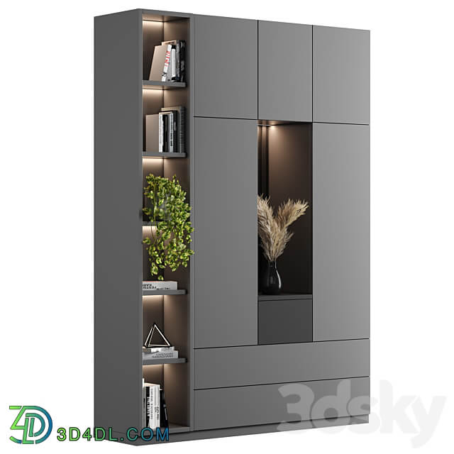 Cabinet with shelves 27 Wardrobe Display cabinets 3D Models