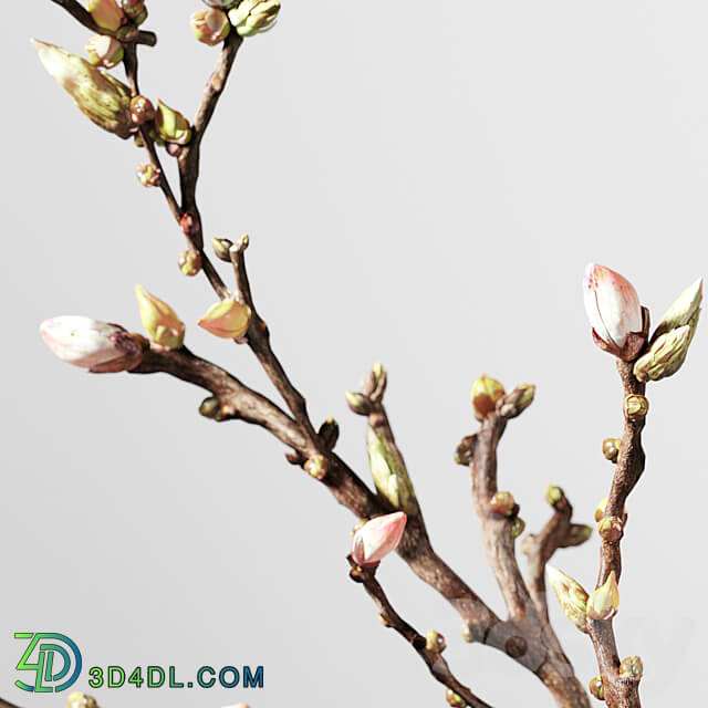 Decorative Spring Set 041 3D Models