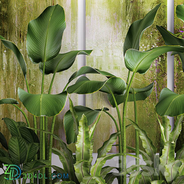 The collection of plants in pots 16. green painting calathea lutea asplenium bushes pot flowerpot concrete 3D Models