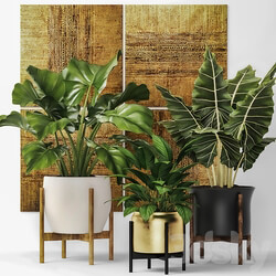 Collection of plants in pots 7. Flower pot bush flowerpot interior indoor alocasia luxury gold paintings abstraction luxury 3D Models 