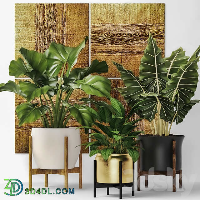 Collection of plants in pots 7. Flower pot bush flowerpot interior indoor alocasia luxury gold paintings abstraction luxury 3D Models