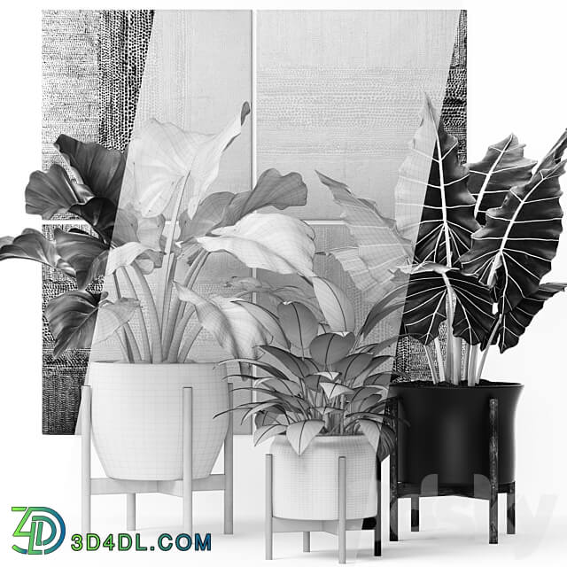 Collection of plants in pots 7. Flower pot bush flowerpot interior indoor alocasia luxury gold paintings abstraction luxury 3D Models
