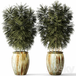 Bamboo set flower pot bamboo bush thickets bamboo pot flowerpot outdoor 3D Models 