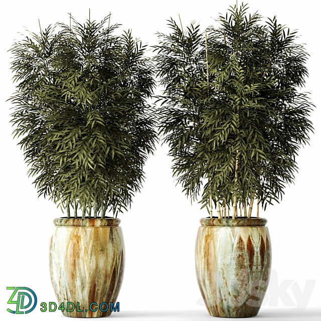 Bamboo set flower pot bamboo bush thickets bamboo pot flowerpot outdoor 3D Models