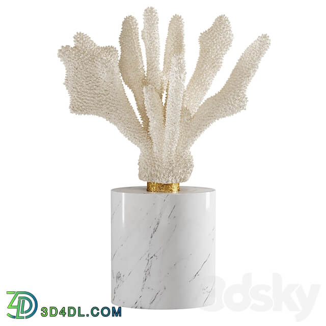 Coral Set 5 3D Models