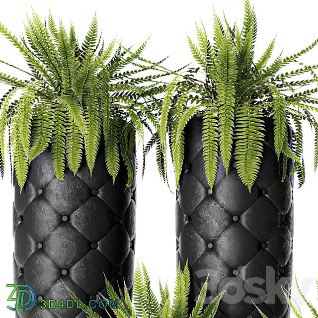 FERN POTS Fleur Ami luxury flower pot flowerpot fern 3D Models