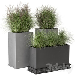 Outdoor Plants Bush in rusty Concrete Pot Set 665 3D Models 