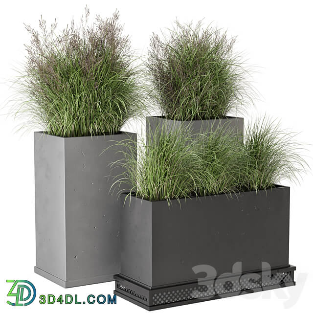 Outdoor Plants Bush in rusty Concrete Pot Set 665 3D Models