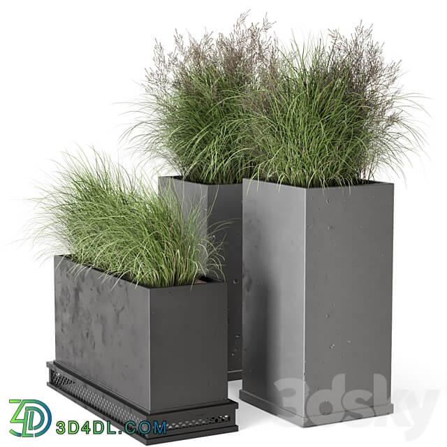 Outdoor Plants Bush in rusty Concrete Pot Set 665 3D Models