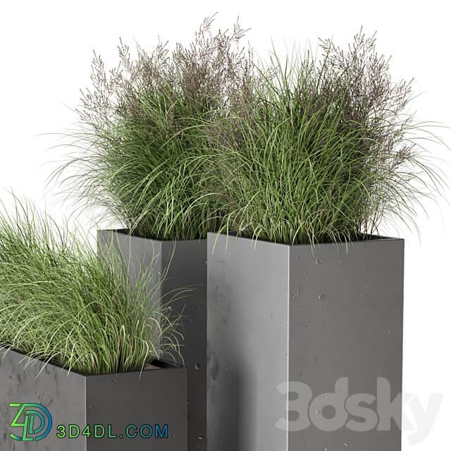 Outdoor Plants Bush in rusty Concrete Pot Set 665 3D Models