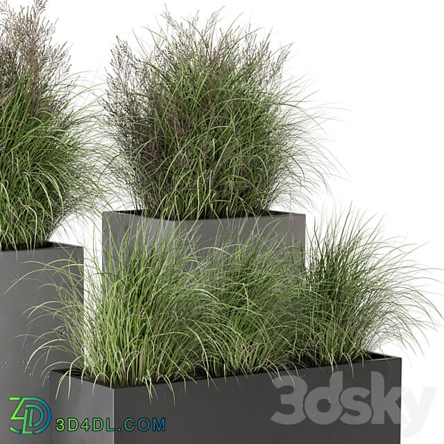 Outdoor Plants Bush in rusty Concrete Pot Set 665 3D Models