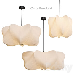 Cirrus Pendant Pendant lamp West Elm Pendant light 3D Models 