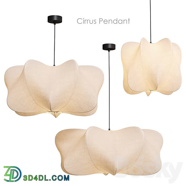 Cirrus Pendant Pendant lamp West Elm Pendant light 3D Models