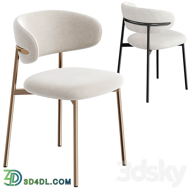 Oleandro Chair by Calligaris 3D Models