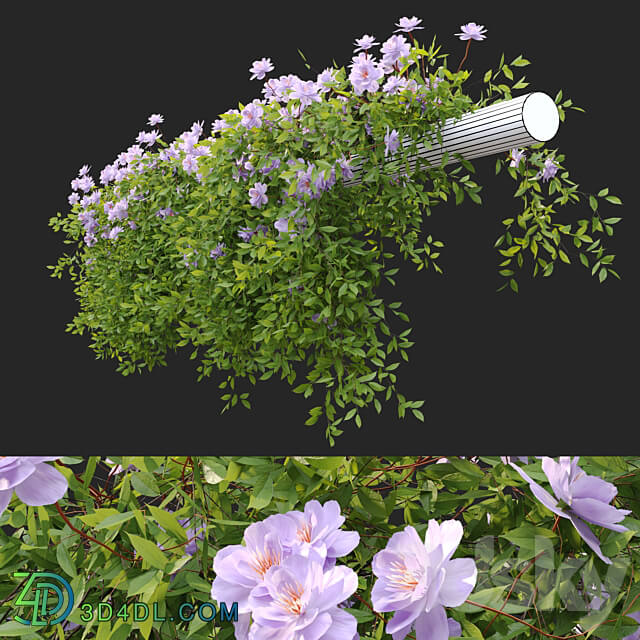 Hanging Plant 37 3D Models