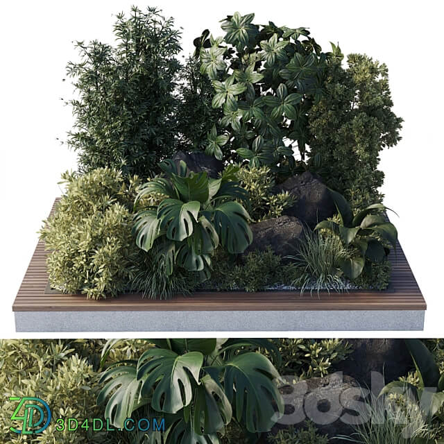 garden pot plant bamboo bush fern Collection outdoor indoor 101 corona 3D Models