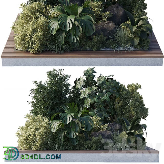 garden pot plant bamboo bush fern Collection outdoor indoor 101 corona 3D Models