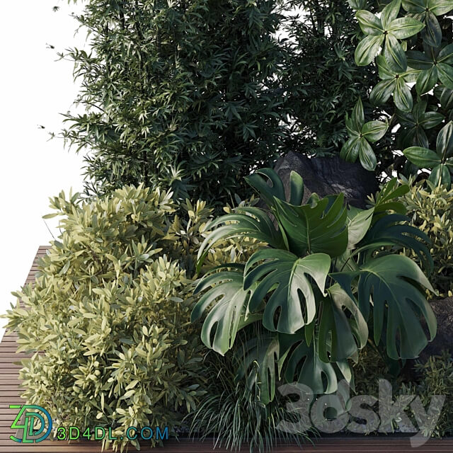 garden pot plant bamboo bush fern Collection outdoor indoor 101 corona 3D Models