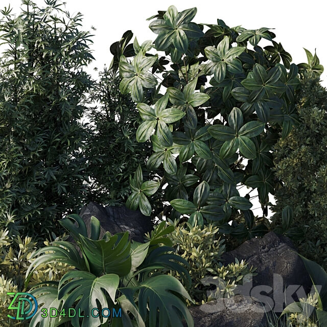 garden pot plant bamboo bush fern Collection outdoor indoor 101 corona 3D Models