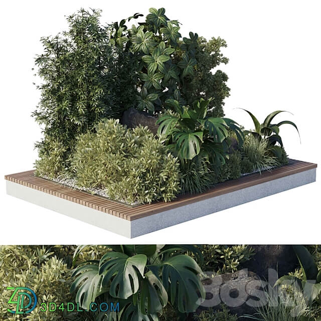 garden pot plant bamboo bush fern Collection outdoor indoor 101 corona 3D Models