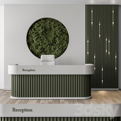 Reception Desk and Wall Decor with vertical Garden Office Set 312 3D Models 