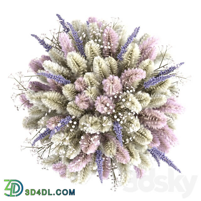 Bouquet of lagurus and lavender 3D Models