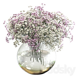 Bouquet of white and pink gypsophila 3D Models 