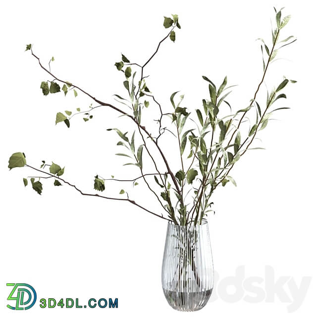 Bouquet of branches 3D Models