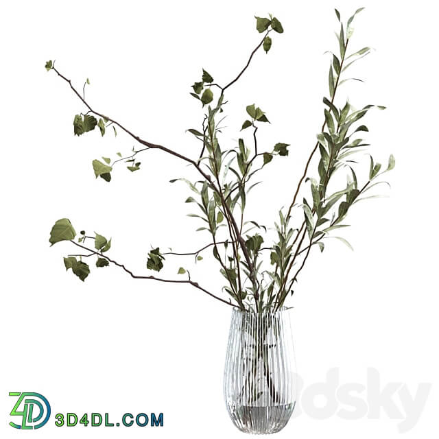 Bouquet of branches 3D Models