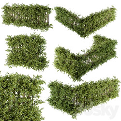 Outdoor Wood Fence with Ivy Plants Fence 07 3D Models 