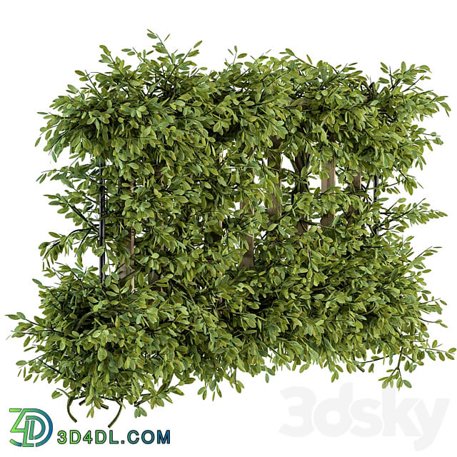 Outdoor Wood Fence with Ivy Plants Fence 07 3D Models