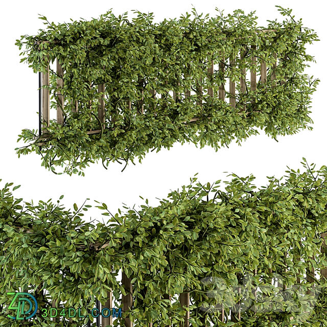 Outdoor Wood Fence with Ivy Plants Fence 07 3D Models