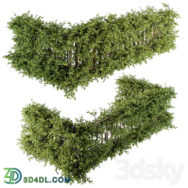 Outdoor Wood Fence with Ivy Plants Fence 07 3D Models