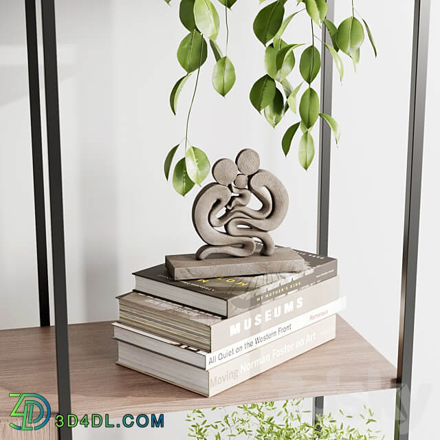 Metal Shelves Decorative With Plants and Book Wooden Rack 01 3D Models