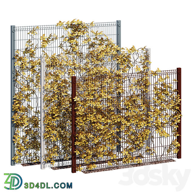 ivy wall ten 3D Models