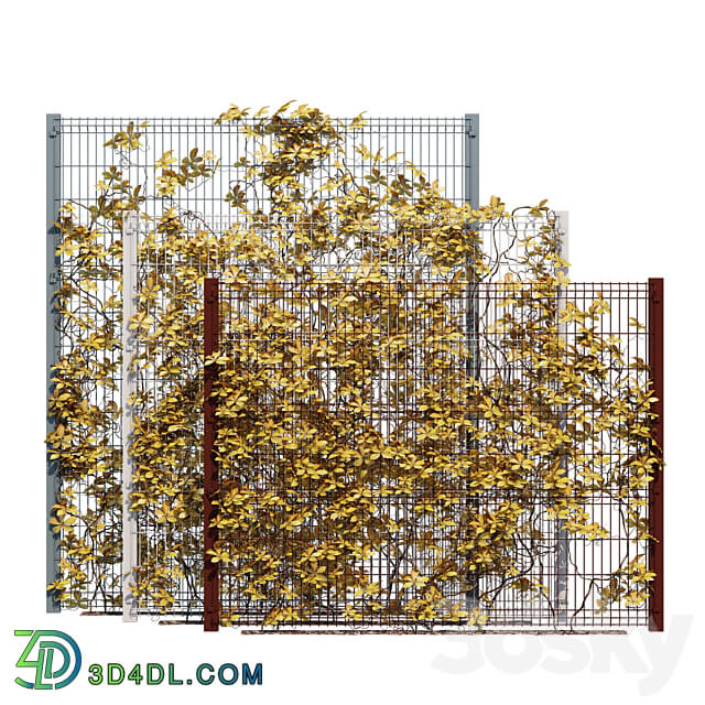 ivy wall ten 3D Models