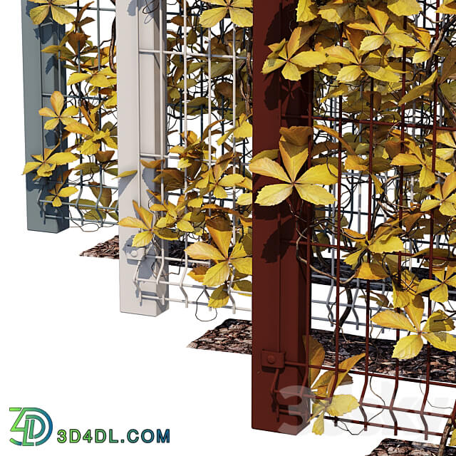 ivy wall ten 3D Models