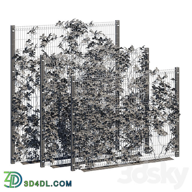 ivy wall ten 3D Models