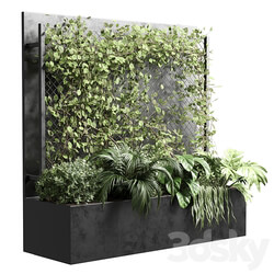 Ivy on Fence fitowall vertical garden box 01 3D Models 