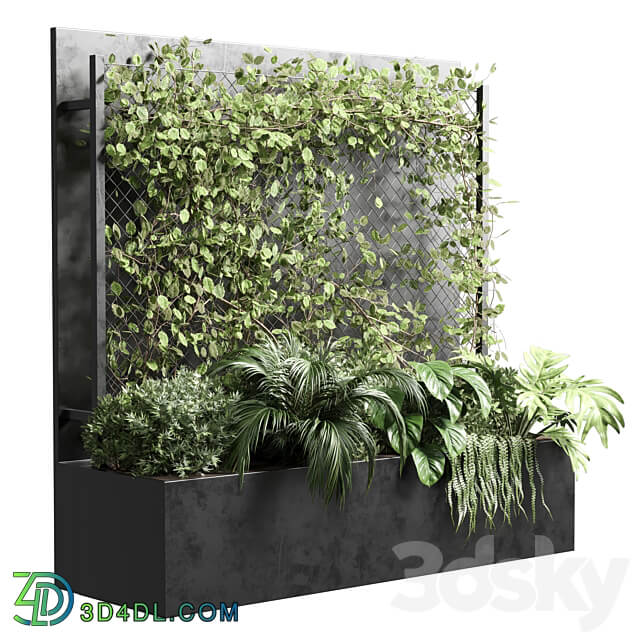 Ivy on Fence fitowall vertical garden box 01 3D Models