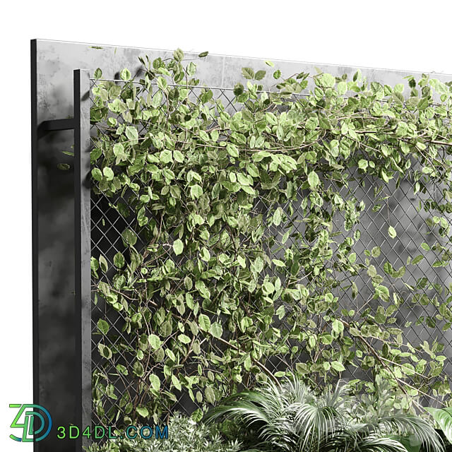 Ivy on Fence fitowall vertical garden box 01 3D Models