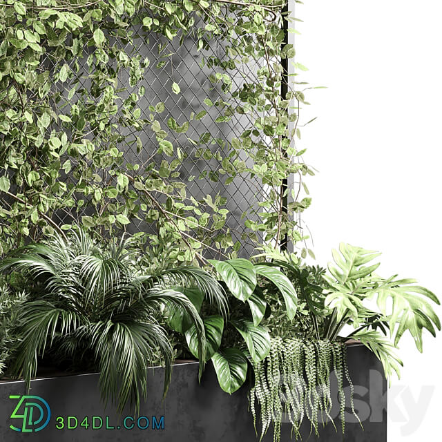 Ivy on Fence fitowall vertical garden box 01 3D Models